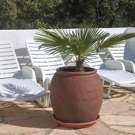 House Soni - 800 M From The Sea * Rovinj