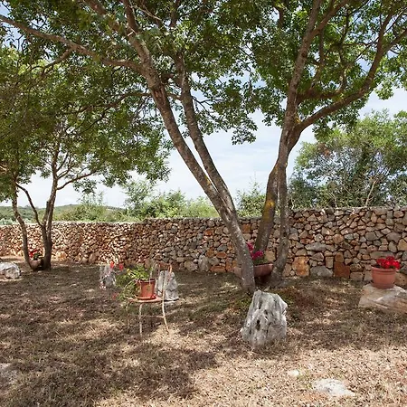 House Soni - 800 M From The Sea