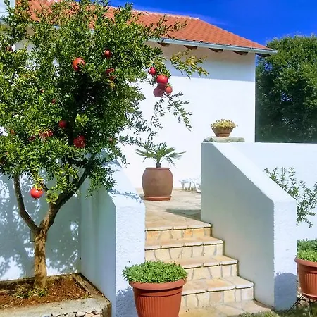 Nyaraló House Soni - 800 M From The Sea *