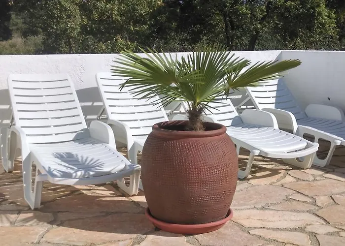 House Soni - 800 M From The Sea * Rovinj