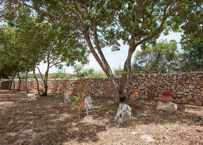 House Soni - 800 M From The Sea