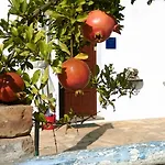 House Soni - 800 M From The Sea Casa vacanze *
