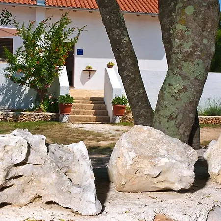 Casa vacanze House Soni - 800 M From The Sea *