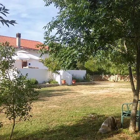 Casa vacanze House Soni - 800 M From The Sea Rovigno